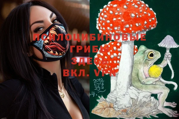 apvp Нея
