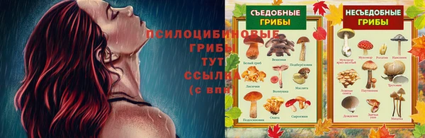 apvp Нея