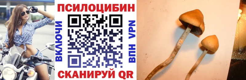 Галлюциногенные грибы Psilocybe  нарко площадка клад  Волжский 