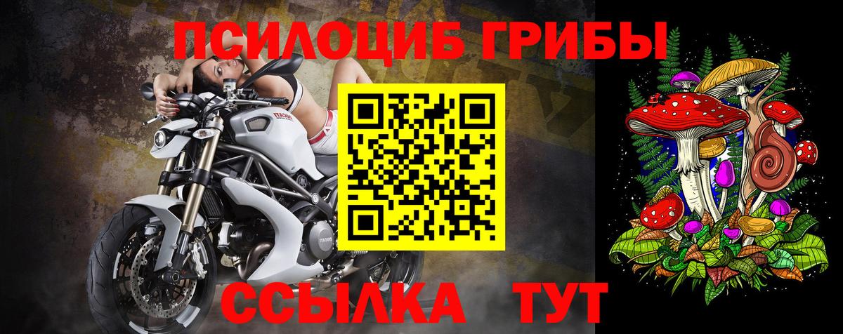 Псилоцибиновые грибы мухоморы  Волжский  Псилоцибиновые грибы MAGIC MUSHROOMS 