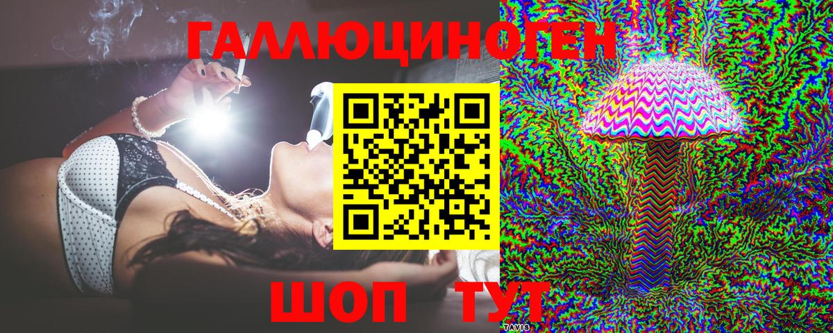 Псилоцибиновые грибы Psilocybe Волжский