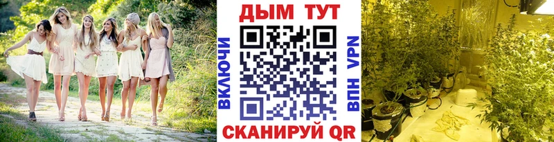 кракен зеркало  shop официальный сайт  Бошки марихуана гибрид  Волжский 